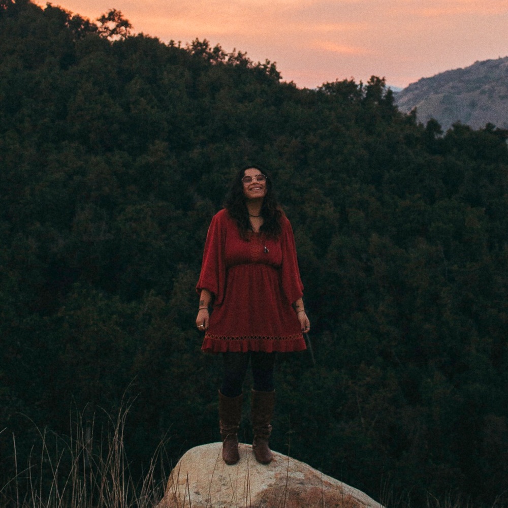 long sleeve dress